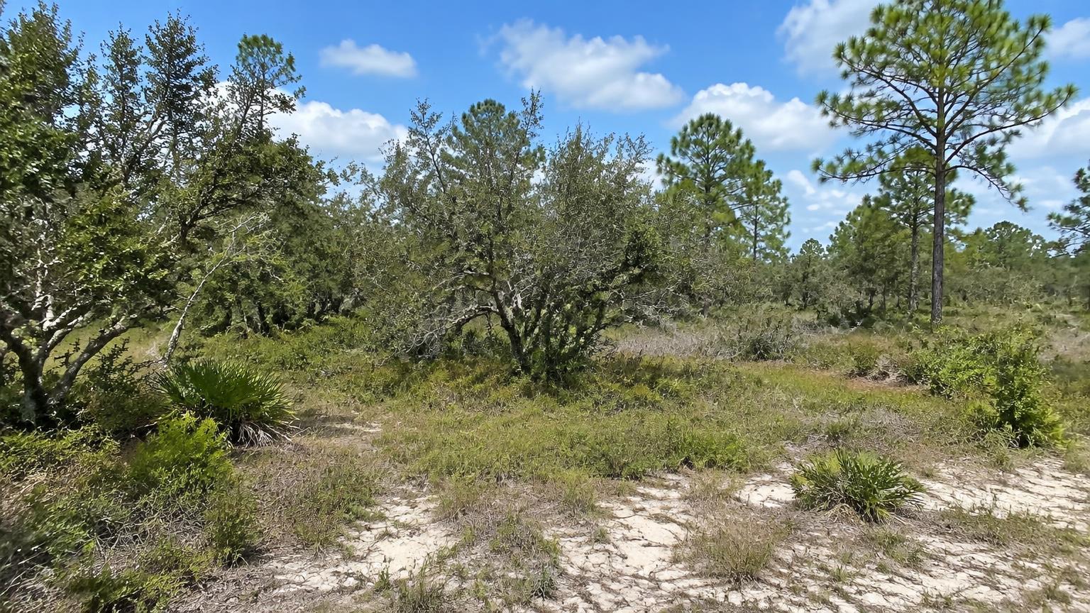 Cheap Vacant Lots in Highlands County, Florida: Where to Look and What to Watch For