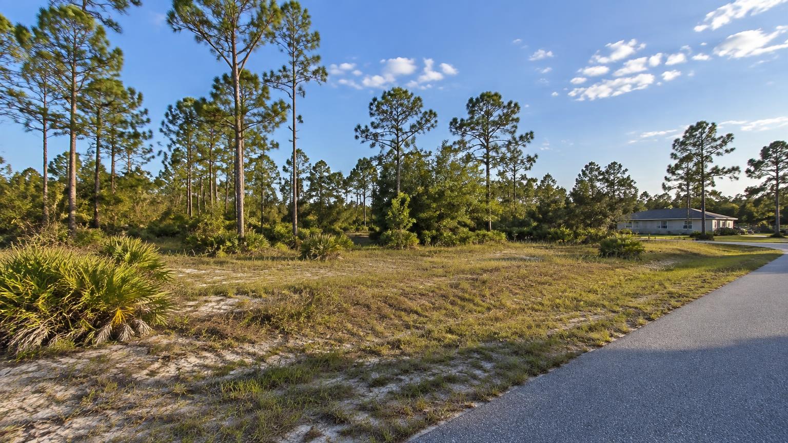 Land for Sale by Owner in Lake Placid, FL Under $10,000: A Buyer's Guide