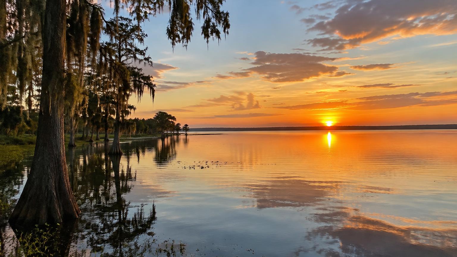 Where to Buy Land in Lake Placid, FL: Best Websites, Apps & How to Find a Land Agent